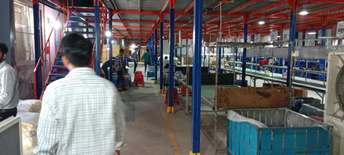 Commercial Warehouse 16000 Sq.Ft. For Rent in Ecotech 1 Extension Greater Noida  6705697