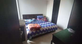 2 BHK Apartment For Rent in Magarpatta Road Pune 6705742