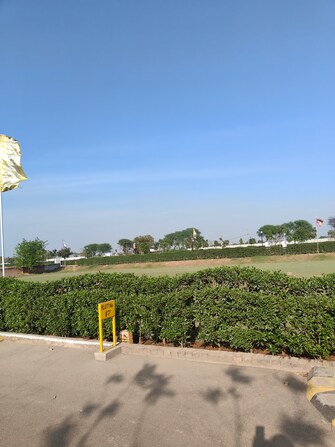 Plot For Resale in Sector 97 Faridabad  6706277