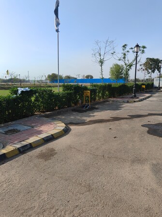 Plot For Resale in Sector 97 Faridabad  6706277