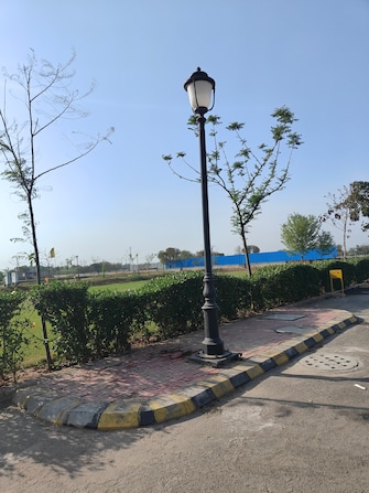 Plot For Resale in Sector 97 Faridabad  6706277