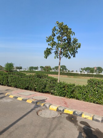 Plot For Resale in Sector 97 Faridabad  6706277