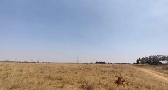 Commercial Land 26 Acre For Resale In Sadahalli Bangalore 6706362