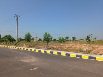 Plot For Resale in Kandukur Hyderabad  6706548