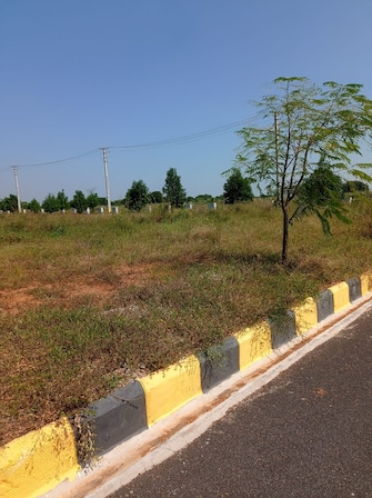 Plot For Resale in Kandukur Hyderabad  6706548