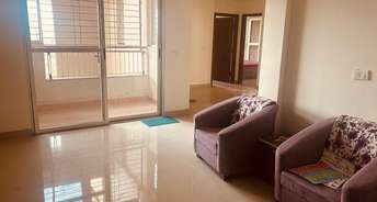 3 BHK Apartment For Rent in AWHO Vijay Vihar Wagholi Pune 6706723