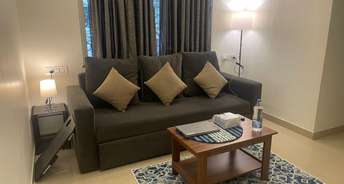 1 BHK Apartment For Rent in Bunty Mayur Kilbil Dhanori Pune 6707437