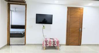 3.5 BHK Apartment For Rent in Ardee City The Residency Sector 52 Gurgaon 6707717