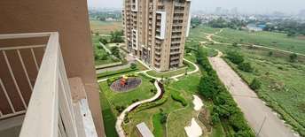 3 BHK Apartment For Rent in Emaar Palm Gardens Sector 83 Gurgaon  6707790