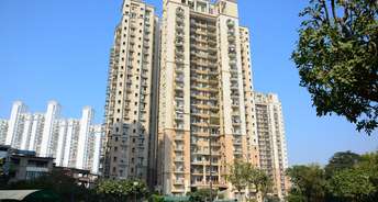 3 BHK Apartment For Rent in DLF Regency Park II Sector 27 Gurgaon 6707951