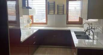 4 BHK Builder Floor For Rent in Sector 19 Faridabad 6708049