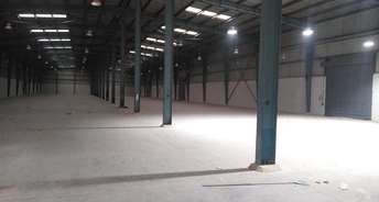 Commercial Warehouse 24000 Sq.Ft. For Rent In Dadri Main Road Greater Noida 6708198