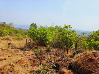 Plot For Resale in Mangaon Raigad  6708599