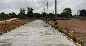  Plot For Resale in Sathnur Bangalore 6708595