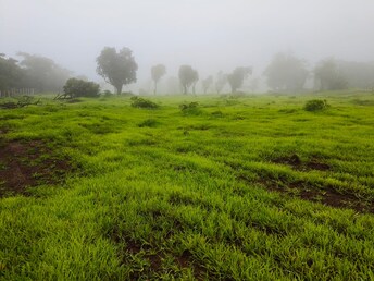 रेसिडेंशियल प्लॉट वर्ग फुट फॉर रीसेल इन मंगांव रायगढ़  6708698