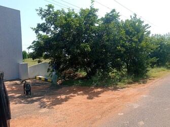 Plot For Resale in Srisailam Highway Hyderabad  6708850