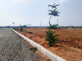 Plot For Resale in Srisailam Highway Hyderabad  6708867