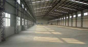 Commercial Warehouse 4000 Sq.Ft. For Rent In Kailash Nagar Palwal 6708913