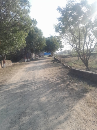 Plot For Resale in Sanjay Nagar Ghaziabad  6708972