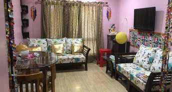 1 BHK Apartment For Rent in Clover Dale Koregaon Park Pune 6709308