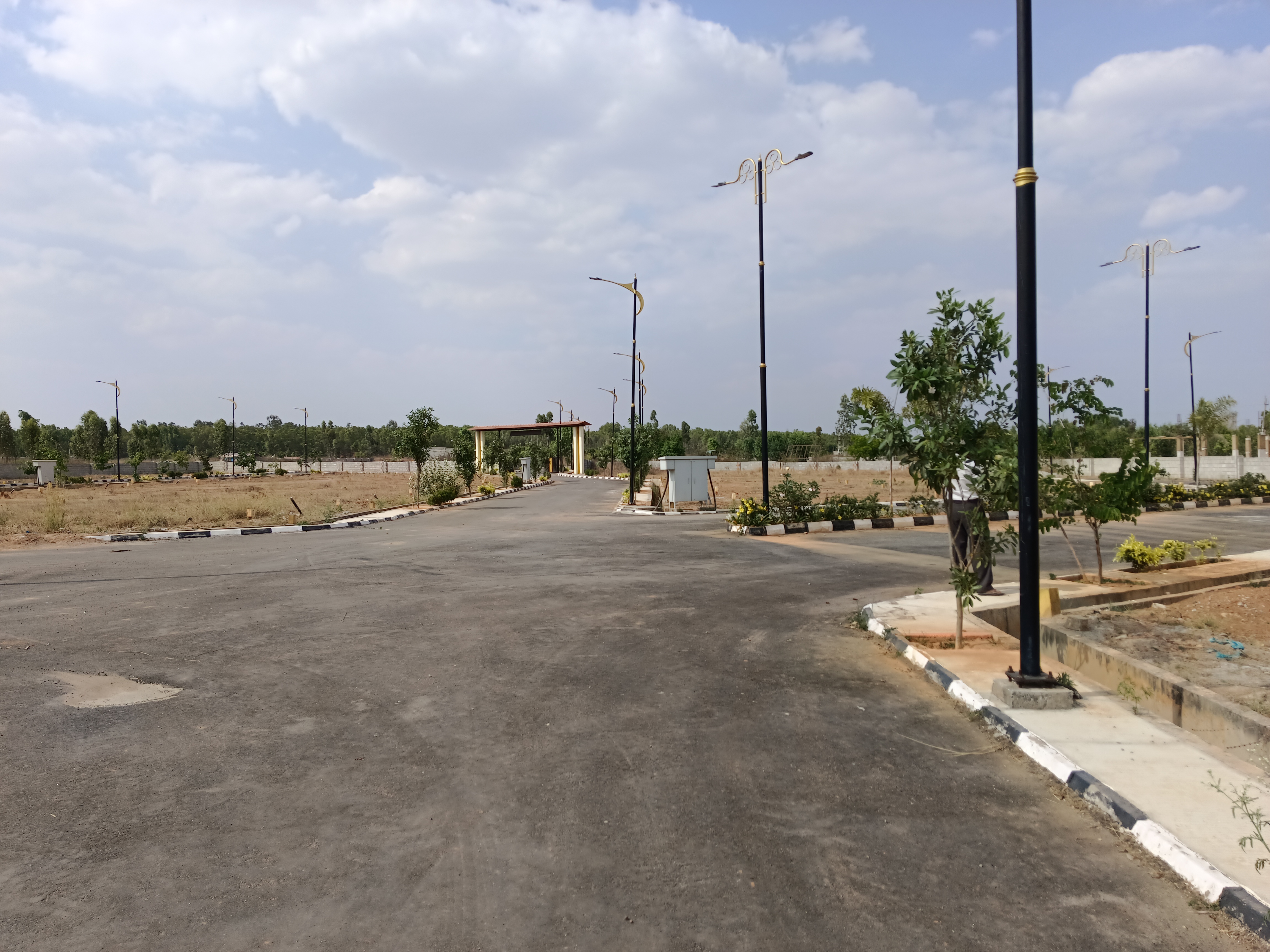 Plot For Resale in Hoskote Bangalore  6709520