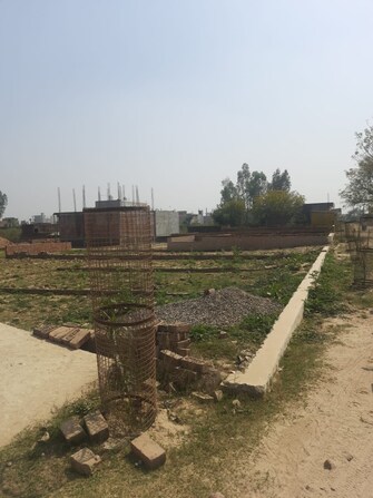 Plot For Resale in Malhour Lucknow  6709591