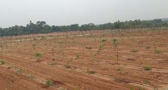 Commercial Land 6534 Sq.Ft. For Resale In Electronic City Bangalore 6709643