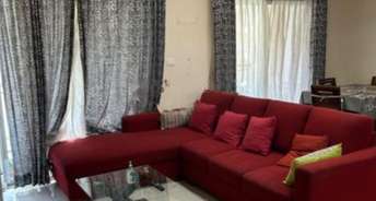 2 BHK Apartment For Rent in Orchid Lakeview Bellandur Bangalore 6709696