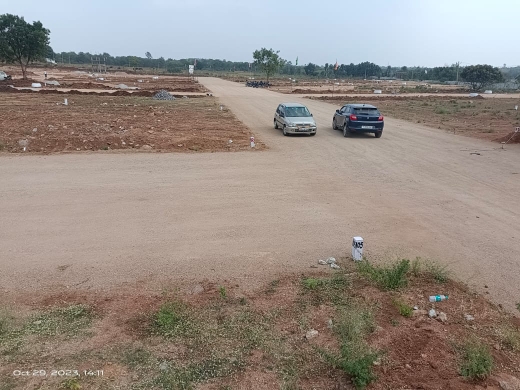 Plot For Resale in Sohna Gurgaon  6709796