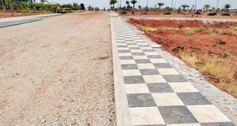  Plot For Resale in Apex Green Sector 8 Sonipat 6709971