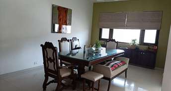 3 BHK Apartment For Rent in Panchshil One North Magarpatta Pune 6710106