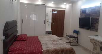 1 RK Apartment For Rent in DLF Capital Greens Phase 3 Moti Nagar Delhi 6710209