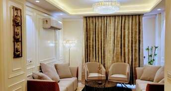 3 BHK Apartment For Resale in Lavasa Homes Lohgarh Zirakpur 6710746