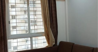 1 BHK Apartment For Rent in Lodha Amara Tower 32 And 33 Kolshet Road Thane 6711316
