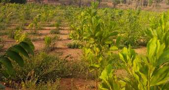  Plot For Resale in Mudra Green Fields Vijayawada Highway Hyderabad 6713422