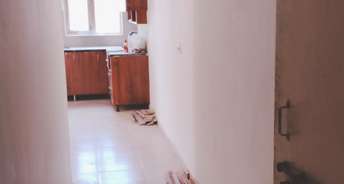 1 BHK Apartment For Rent in Auric City Homes Sector 82 Faridabad 6711549