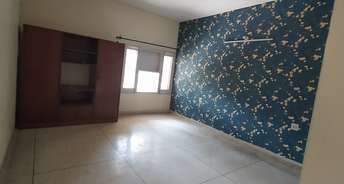 2 BHK Builder Floor For Rent in Sector 11 Chandigarh 6711812