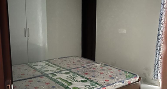 2 BHK Apartment For Rent in Sector 126 Mohali 6712416