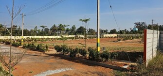 Plot For Resale in Apmc Yard Bangalore  6712699