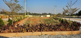 Plot For Resale in Apmc Yard Bangalore  6712699