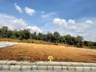 Plot For Resale in Apmc Yard Bangalore  6712699