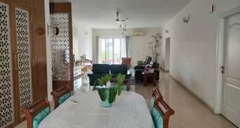 4 BHK Apartment For Resale in N K Quiet Lands Gachibowli Hyderabad 6712970