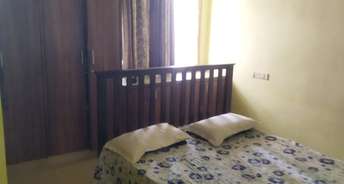 3 BHK Apartment For Rent in Sriram Nagar Hyderabad 6713008