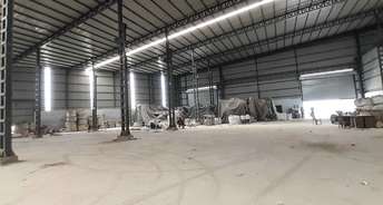 Commercial Warehouse 20000 Sq.Ft. For Rent In Kathwada Ahmedabad 6713741