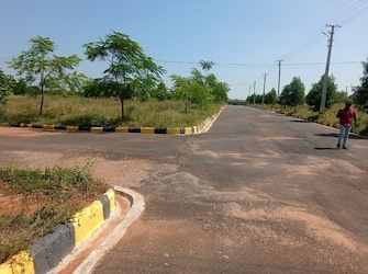 Plot For Resale in Mansanpalle Hyderabad  6714149