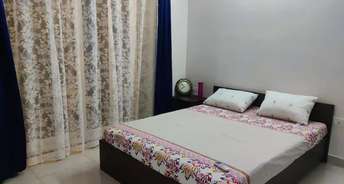 3 BHK Apartment For Rent in Pashmina Waterfront Old Madras Road Bangalore 6714223