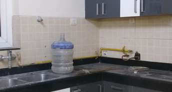 3 BHK Apartment For Rent in Mahindra Lifespaces Chloris Sector 19 Faridabad 6714264