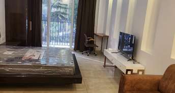 Studio Builder Floor For Rent in Sector 51 Gurgaon 6714832
