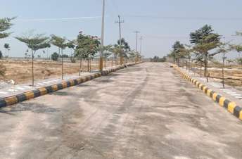 Plot For Resale in Tatti Annaram Hyderabad  6714576