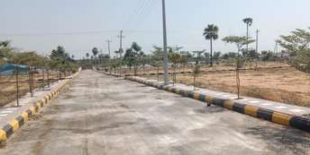  Plot For Resale in West Marredpally Hyderabad 6714630